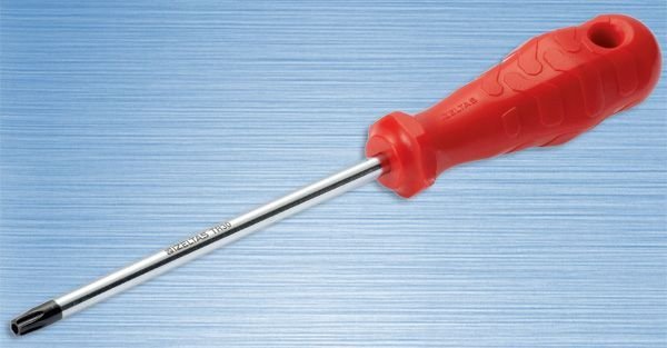 İZELTAŞ 4776180020 DELİKLİ TORX UÇLU TORNAVİDA (TR20)