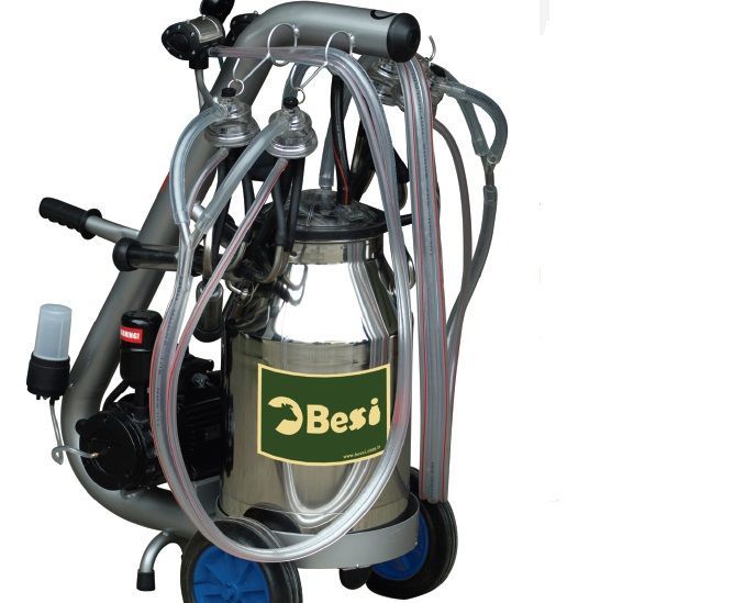 BESSİ TEMPO MODEL KEÇİ (DÖRT ÜNİTE)