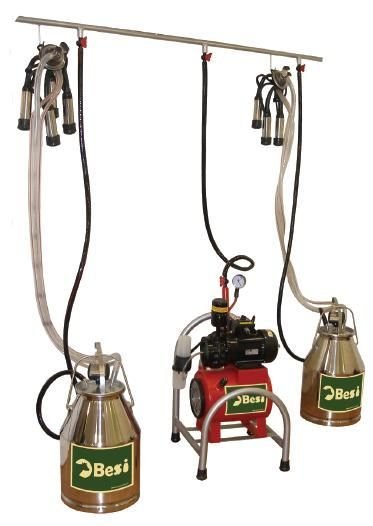 BESSİ TEMPO MODEL İNEK (3-6 Göğüm)